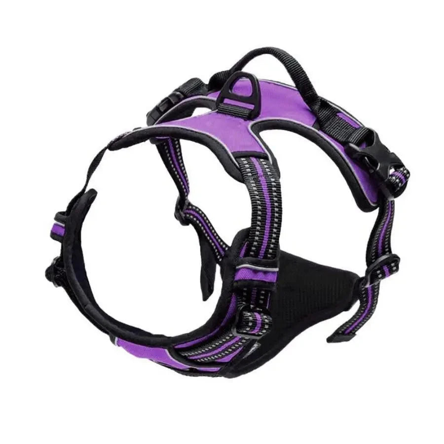 Purple and black dog harness on a white background