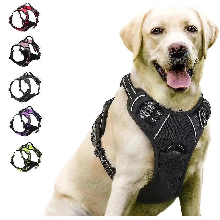 Dog wearing a black harness with color options displayed below on a white background