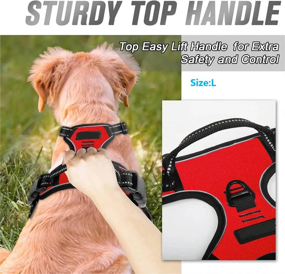 Dog wearing a red harness with a sturdy top handle for safety and control, set against a grassy background.