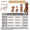 A size guide chart for a dog harness, showing neck girth and chest girth measurements for sizes S, M, L, and XL, with photos of four different dog breeds wearing the harnesses. Includes text instructions and weight recommendations.