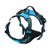Blue and black dog harness on a white background