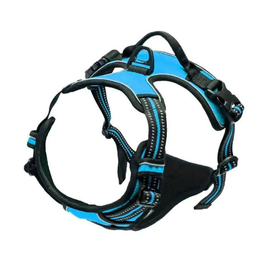 Blue and black dog harness on a white background