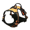 Orange and black dog harness on a white background