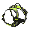 Dog harness with green and black straps on a white background