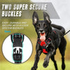 Dog wearing a red harness with 'Two Super Secure Buckles' text and close-up inset.
