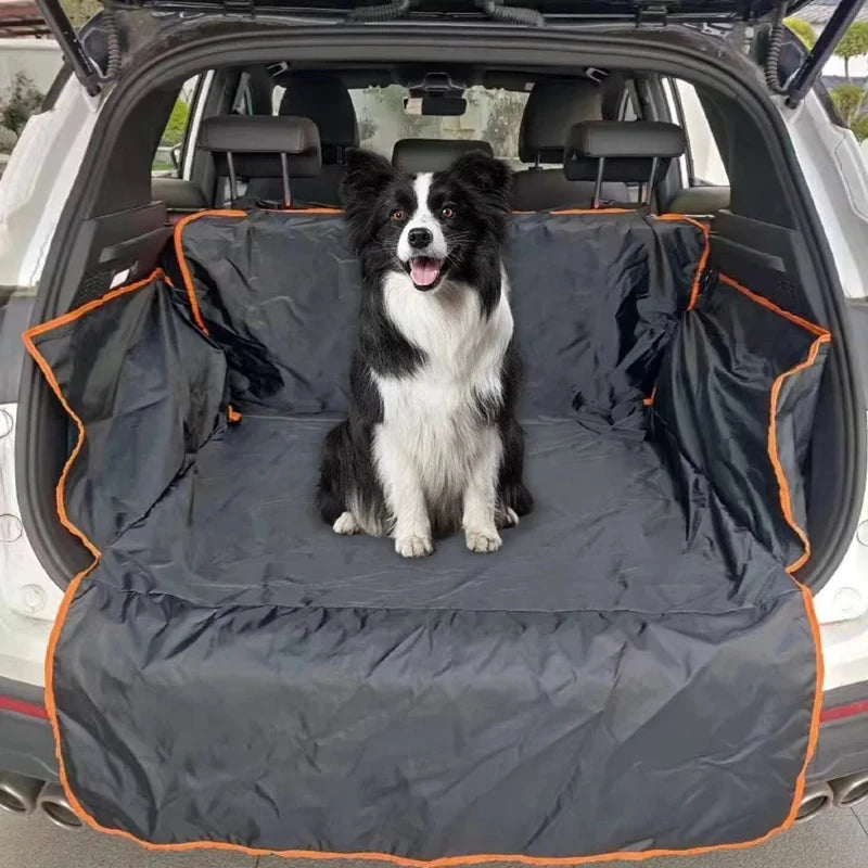 Dog sitting on a car trunk cover with an open car door in the background
