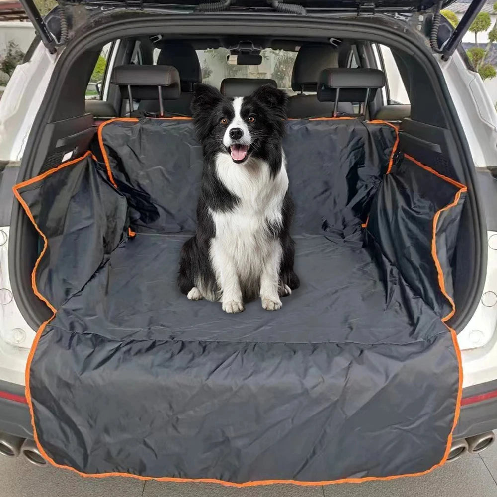 Dog sitting on a car trunk cover with a black and white dog inside an open car.
