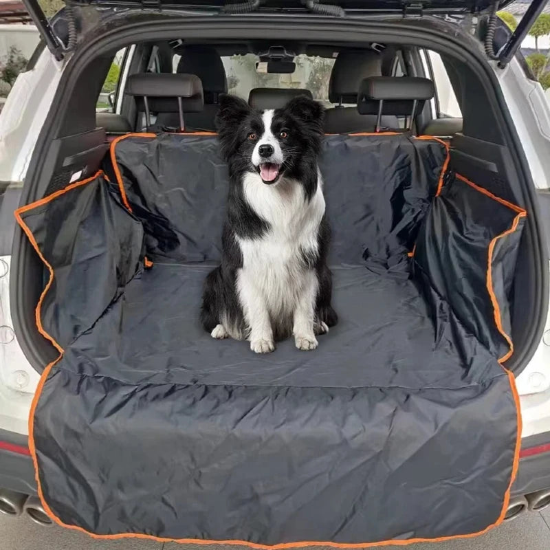Dog sitting on a car trunk cover with an open car door in the background