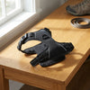 A black dog harness with gray trim and adjustable straps, displayed on a light wood table next to a window, with a leash and shoe visible in the background.