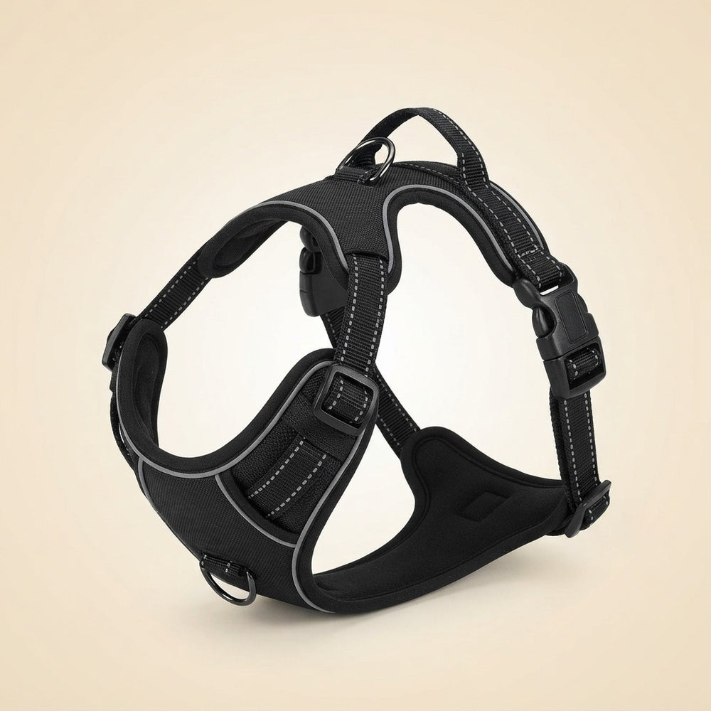 A black dog harness with white contrast stitching and black plastic buckles, shown on a light beige background.